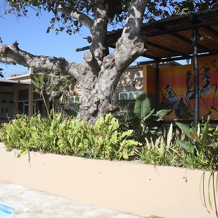 Planet Scuba Bed And Breakfast Ponta do Ouro Exterior photo
